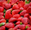 草莓粉图片-2