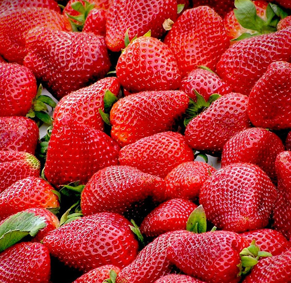 草莓粉图片-1